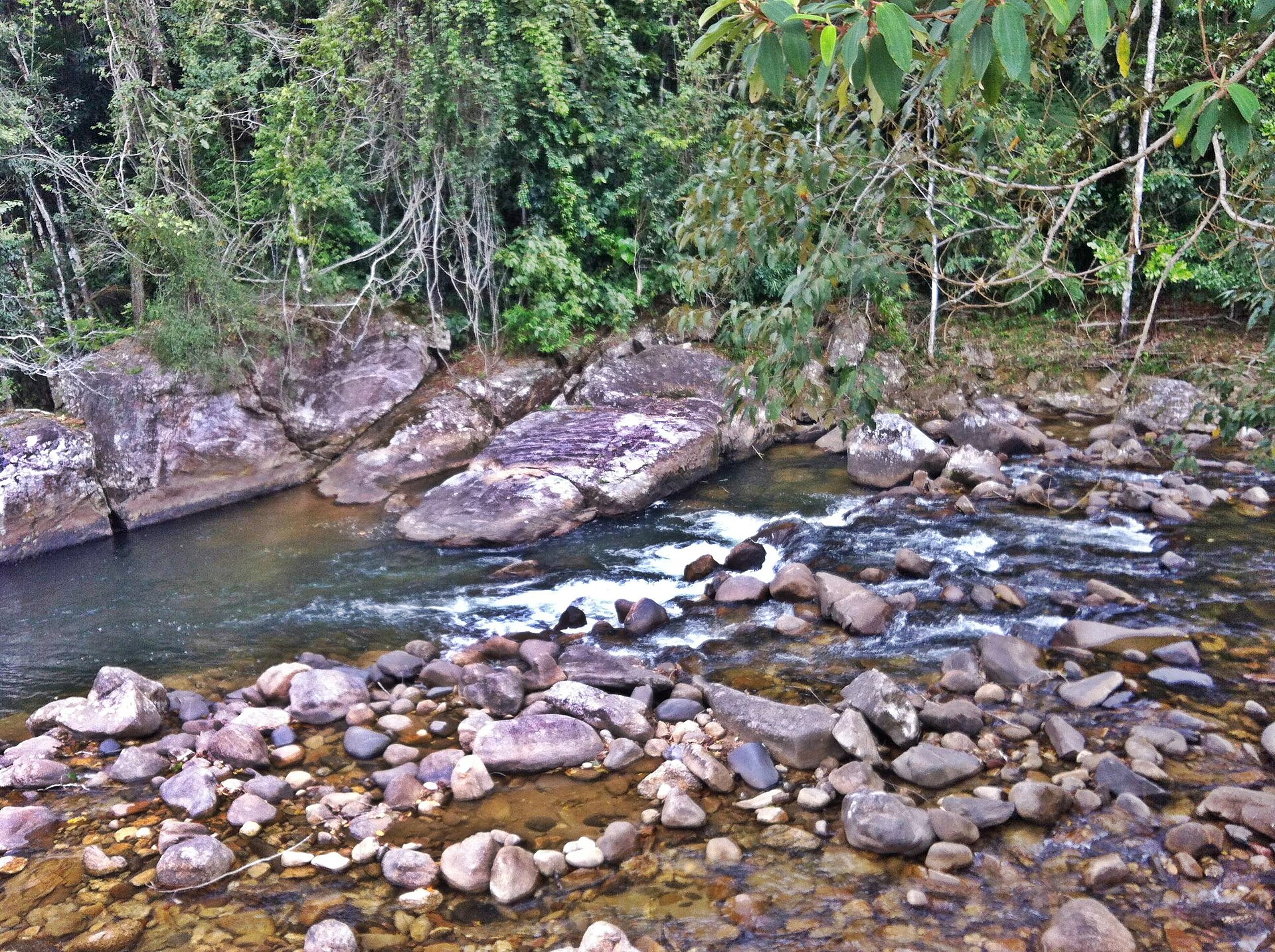 Nova Friburgo — TMbux