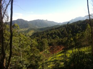 Idoso de 97 anos que ajudou a erguer escadaria do Pico da Caledônia vira tema de documentário