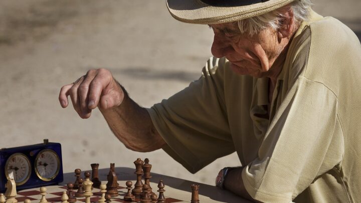 chess tournament players — Jorge Royan