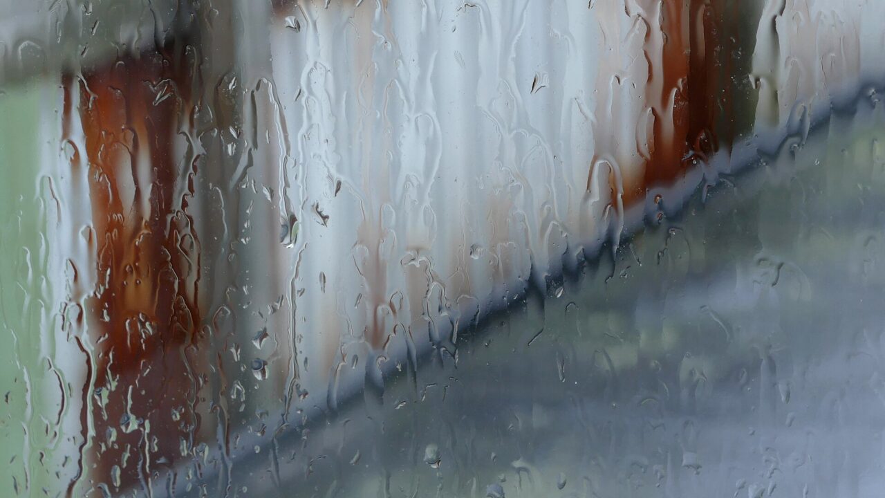 rain window street — W.carter