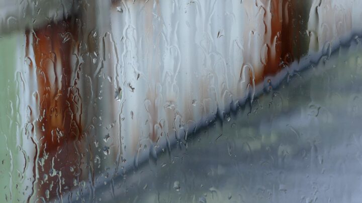 rain window street — W.carter